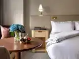 Номер Стандарт с видом на парк