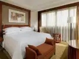 Двухместный люкс Executive Club Lounge Access Partial River view с балконом