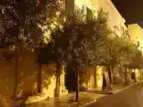 Run of House
