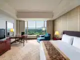 Двухместный номер Deluxe Executive с видом на поле для гольфа