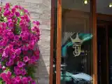 Run of House