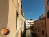 Run of House