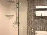 Двухместный люкс Premier