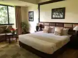 Двухместный номер Premier с балконом