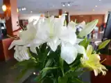 Номер Grand