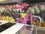 Люкс Luxury Дуплекс