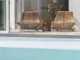 Полулюкс