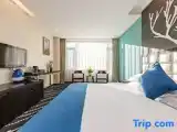 Двухместный номер Deluxe с балконом и с видом на город