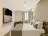 Двухместный номер Clean Executive