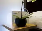 Двухместный полулюкс