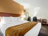 Номер Эконом