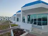 Студия Executive