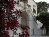 Run of House
