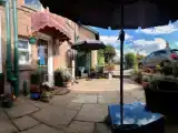 Run of House