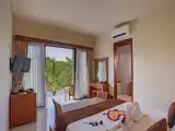 Двухместный номер Deluxe с красивым видом из окна