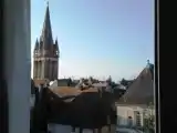 Run of House