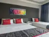 Номер Стандарт