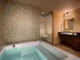Двухместный номер Executive с балконом