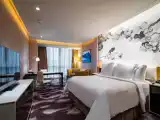 Двухместный номер Premier