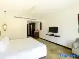 Номер Premier