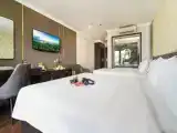 Двухместный номер Executive с балконом