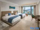 Номер Стандарт