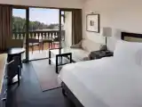 Двухместный номер Deluxe Executive Lounge Access с видом на сад