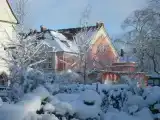 Run of House
