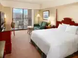 Двухместный номер для гостей с ограниченными возможностями Resort View