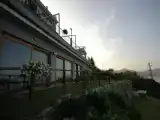 Run of House