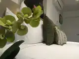 Двухместная студия