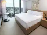 Двухместный номер Premium с видом на город