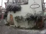 Run of House