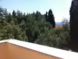 Люкс с видом на парк