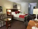 Двухместный номер Executive