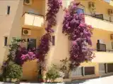 Run of House