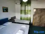Семейный номер Стандарт