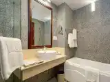 Двухместный номер Premier с видом на город