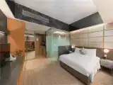 Студия Premier