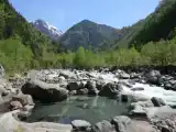 Номер Стандарт с видом на реку