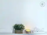 Run of House