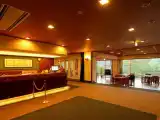 Одноместный номер Эконом