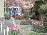 Двухместная студия