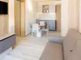 Апартаменты Deluxe c 1 комнатой с балконом