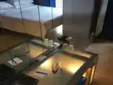 Кровать в общем номере