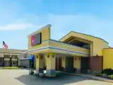 Run of House