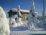 Шестиместный семейный коттедж с 3 комнатами