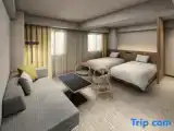 Номер Premium