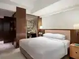 Двухместный номер Executive с видом на город
