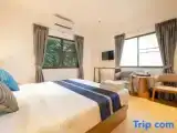 Двухместный семейный номер Deluxe